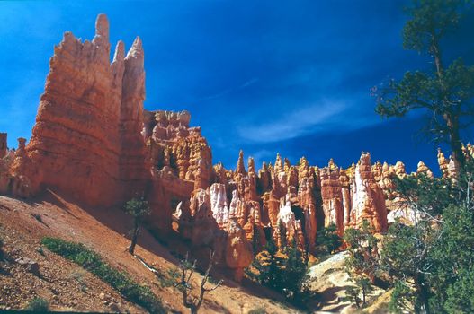 Bryce Canyon National Park is a national park located in southwestern Utah in the United States. Contained within the park is Bryce Canyon. Despite its name, this is not actually a canyon, but rather a giant natural amphitheater created by erosion along the eastern side of the Paunsaugunt Plateau. Bryce is distinctive due to its geological structures, called hoodoos, formed from wind, water, and ice erosion of the river and lakebed sedimentary rocks. The red, orange and white colors of the rocks provide spectacular views to visitors.