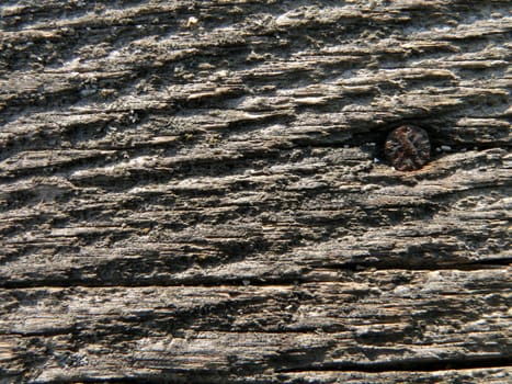 Aging board with nail