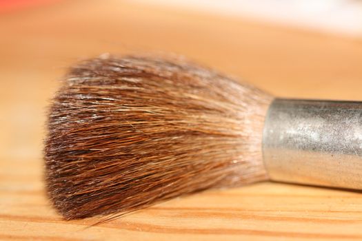 proffesional brush on wood background