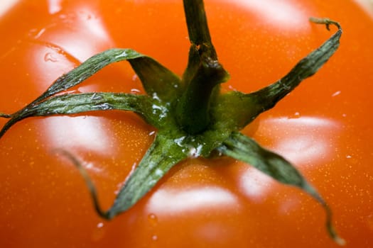 tomato and water drops close up