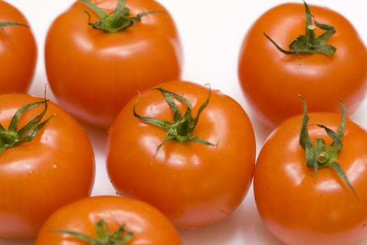 fresh red tomatoes and water drops 