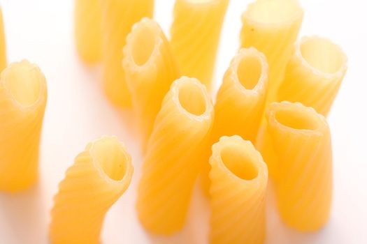 composition of yellow macaroni (tubule)