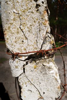 Old post supporting barbed wire