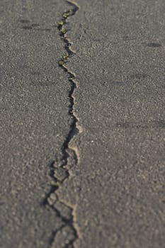 texture series: asphalt road pavement backgroud with crack
