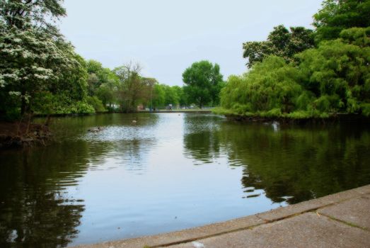 A lake in a tree-filled public park