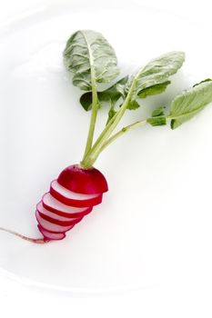 Sliced radish with leaves on white plate.