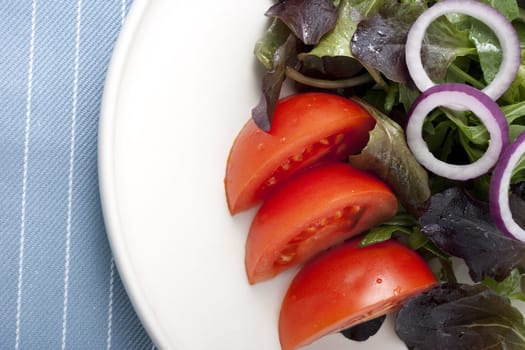 Side salad on white plate with fresh salad greens, tomatoes and red onions.