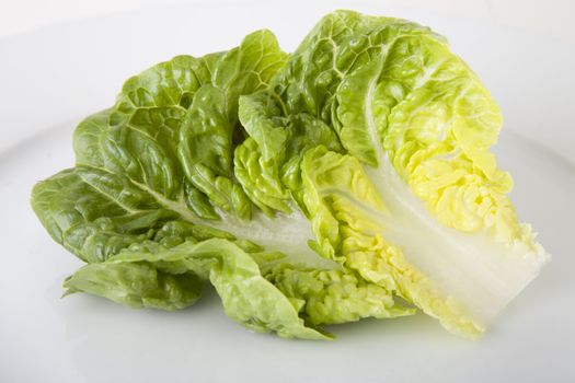Two leaves of romaine lettuce on white plate.