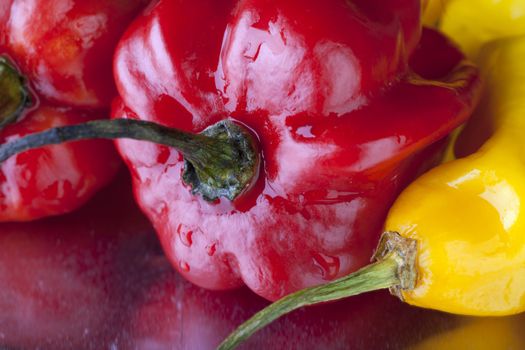 Closeup of scotch bonnets.