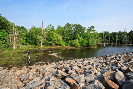 A reservoir with a boy hiking along the shoreline. The setting is beautiful Manasquan Reservoir in New Jersey.