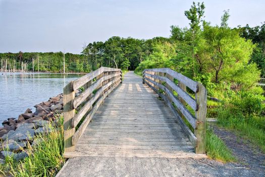 A wooden bridge along a path in the wilderness