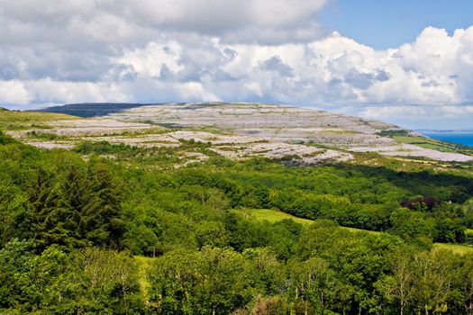Green trees in foreground followed by a large hill of The Burren in County Clare, Ireland