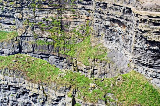 Cliff face of the Cliffs of Moher in Ireland