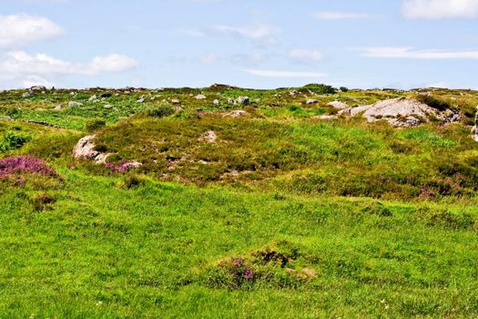 Colorful green field and blue sky. Could be used as a background.