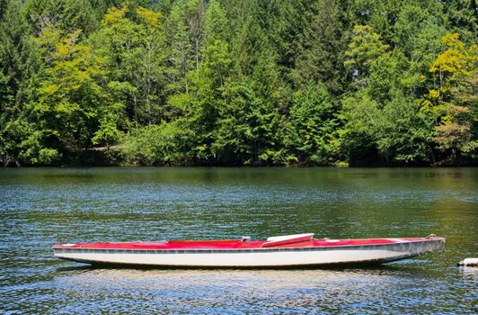 A docked sunfish boat without the sail on a lake. Green trees are in the background.