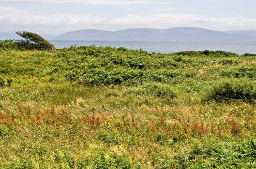A field in the foreground with Galway Bay and the Burren of Ireland in the background