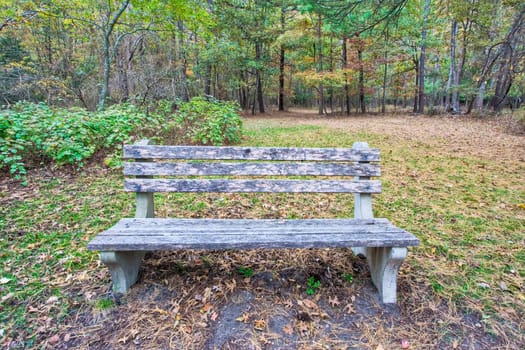 An old wooden bench in a wooded area of a park