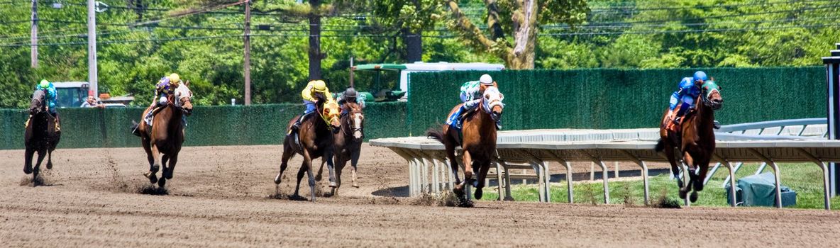 A horse race in a panoramic format