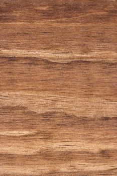 A detailed photo of wood grain. The grain and texture of the wood is very prominent.