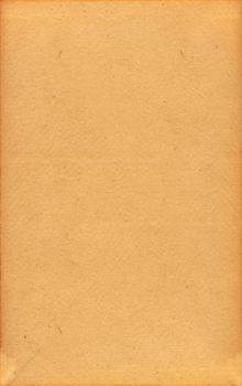 Highly detailed  textured antique paper , great grunge element for your projects