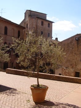 Certlado, small heritage city near Florence and birthplace of medieval writer Giovanni Boccaccio