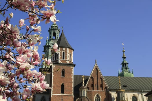 wawel