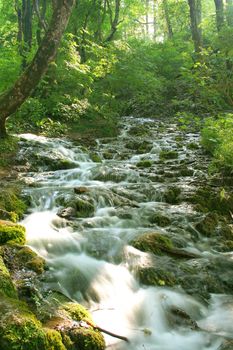 plitvice park in Croatia