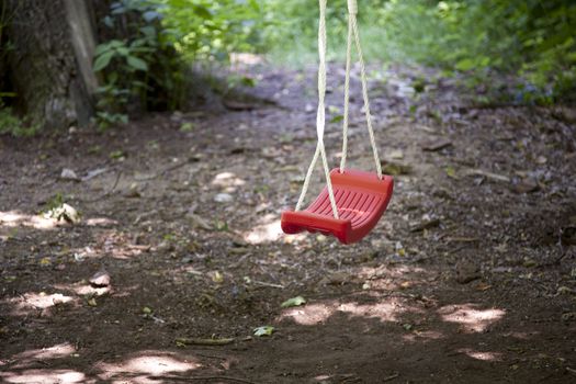 Empty tree swing in the woods