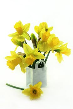 a bouquet of daffodils on a white background