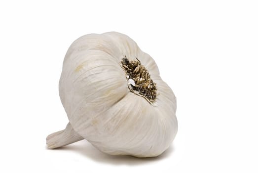 Garlic isolated on a white background.