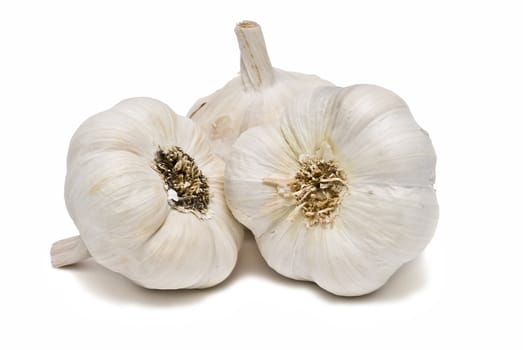 Garlic isolated on a white background.