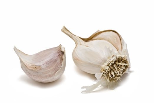 Garlic isolated on a white background.