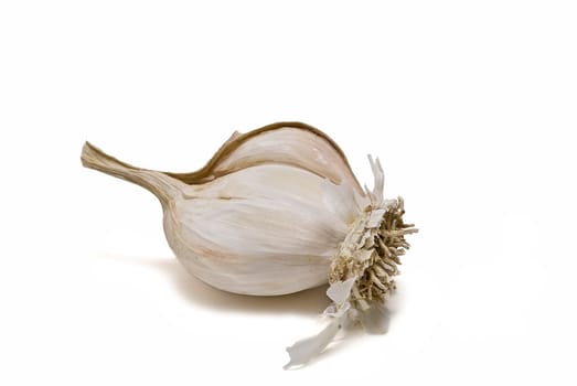 Garlic isolated on a white background.