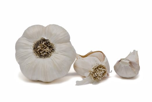 Garlic isolated on a white background.