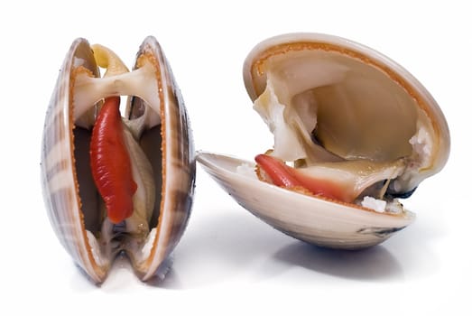 Fresh smooth clams isolated on a white background.