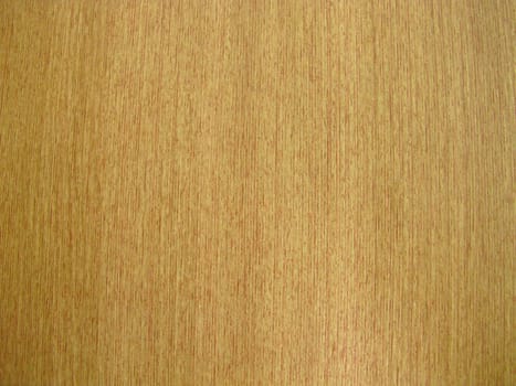 wood texture on a toilet door.