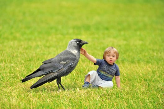 Tiny boy playing with a crow in the grass