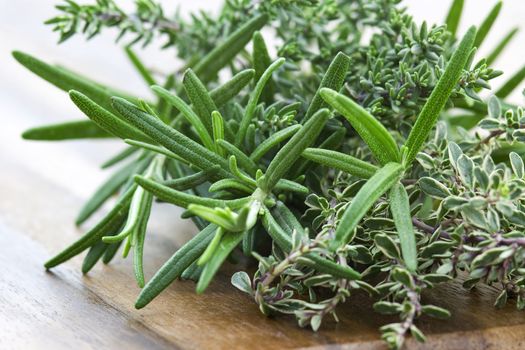 thyme and rosemary - fresh garden herbs