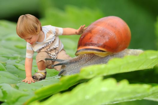 Cute tiny boy playing with a snail on a leaf