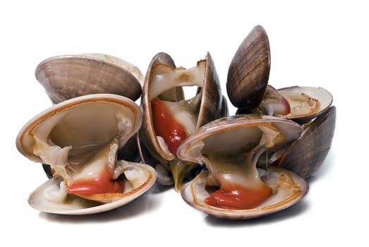 Fresh smooth clams isolated on a white background.