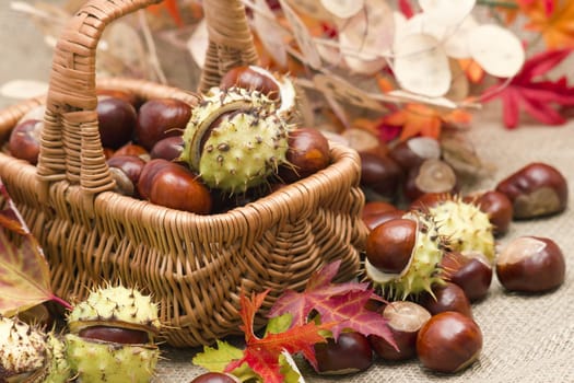 basket full of chestnuts and autumnal leaves