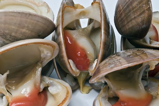 Fresh smooth clams isolated on a white background.