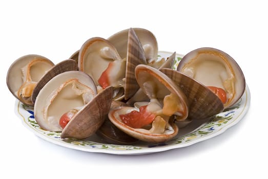 Fresh smooth clams isolated on a white background.