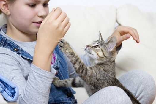 a girl is playing with a kitten