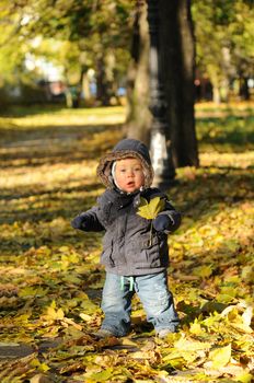 Toddler playing in the park in autumn with lots of fallen leaves