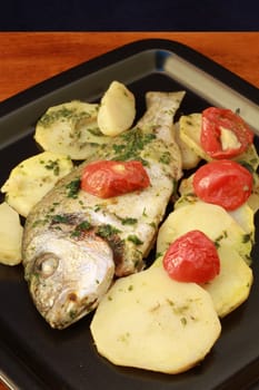 gilthead with tomatoes and potatoes 