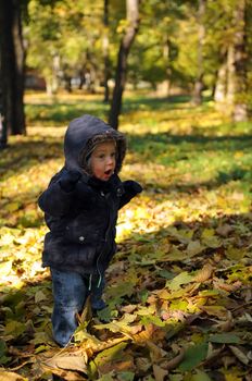 Toddler playing in the park in autumn with lots of fallen leaves