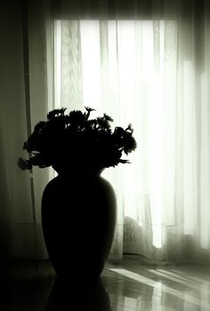 Modern home interior , vase silhouette against the window. Black and white toned photo