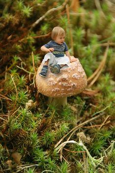 Cute tiny boy sitting on a mushroom in a forest