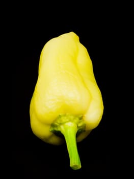 Yellow sweet pepper isolated on black background